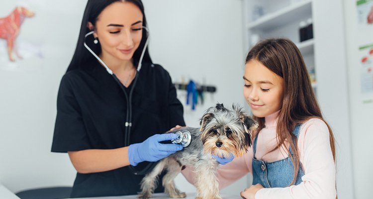 Visit clinic consultation visual